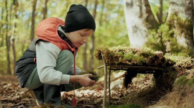 Young boy building a miniature shelter in the forest