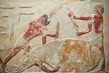Two men performing ritual sacrifice of a bull, V Dunasty mastaba of princess Idut, Saqqara, Egypt	