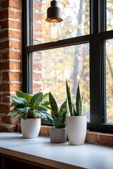 Fototapeta premium Home improvement with sustainable building concept. Cozy indoor scene featuring potted plants on a windowsill, with a warm light fixture illuminating the space.