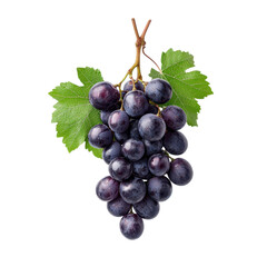 Fototapeta premium A bunch of fresh black grapes with leaves on a transparent background. Concept of fruit, food, and healthy eating.