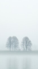 Fototapeta premium Spring meadow mist nature fog.
