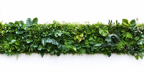 Horizontal Vibrant Green Plant Wall Stripe on Clean White Background
