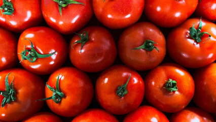 Lots of tomatoes in a big box. Big and small tomatoes. Tasty and healthy vegetables on the counter