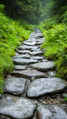 serene stone pathway winds through lush greenery, surrounded by vibrant foliage and misty atmosphere, inviting exploration and tranquility