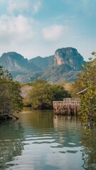 Fototapeta premium National park in krabi province thland with mangrove forests
