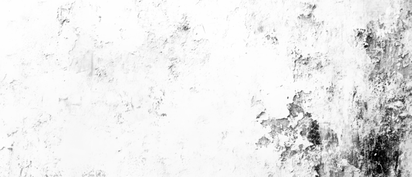 An aged white wall with visible cracks and peeling paint, adding character and depth for artistic photography and design.