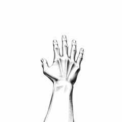 Obraz premium Anatomical Study of the Human Hand: A detailed, black and white study of a human hand in a raised position, showcasing intricate bone structure and subtle shading for a realistic effect.