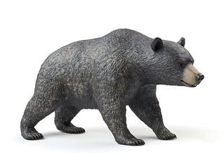 Fototapeta premium A detailed studio photograph depicting a walking black bear animal