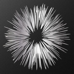 Fototapeta premium BUM Silver