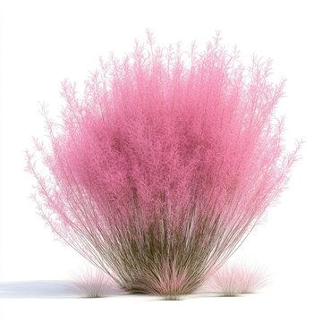 Muhly Grass Bush Set. 3D Rendering of Green Foliage Ground Cover and Pink Shrubs Isolated