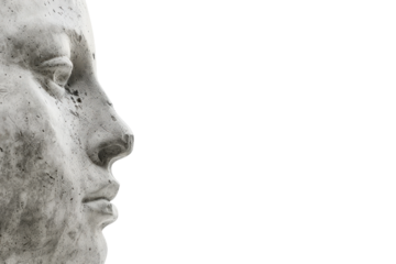 A classic bust sculpture with an expressive and aged look. A refined and artistic portrayal of history