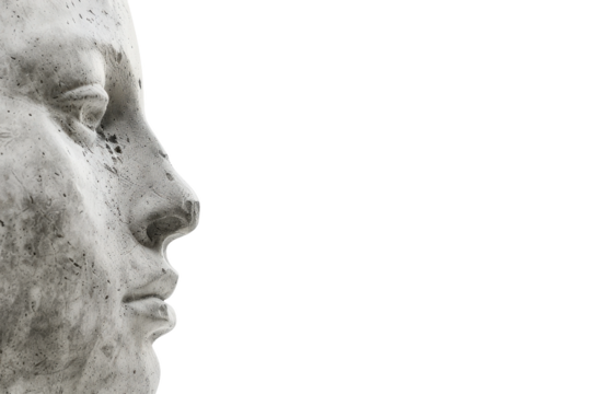 A classic bust sculpture with an expressive and aged look. A refined and artistic portrayal of history