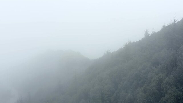 Foggy mountain landscape revealing lush greenery of Madari natural trail in the Troodos range. Dense mist rolls over slopes, creating an atmospheric and serene natural scene