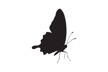 Butterfly silhouette icon simple vector art on a white background