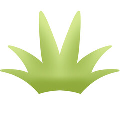 Beautiful Floral, Tree and Nature