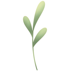 Beautiful Floral, Tree and Nature