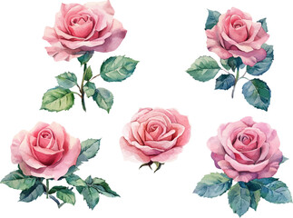 Naklejka premium seamless pattern with roses