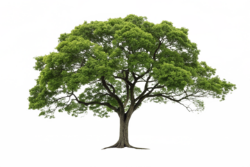Majestic Green Tree in a Colorful Glitch Art Landscape