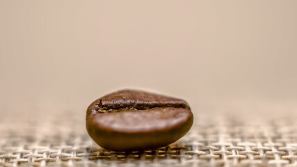 one grain of coffee on a matting macro