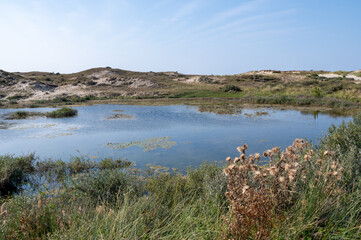 A lake in the dune nature reserve