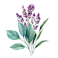 watercolor botanical foliage and purple flowers clipart, hand-painted floral illustration, wild nature decor for invitations and prints