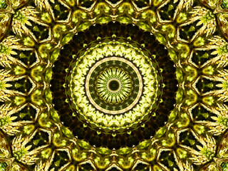Kaleidoscopic Pattern