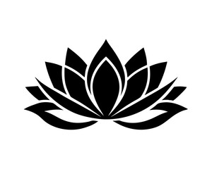 lotus flower isolated on white background