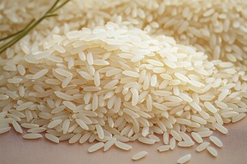 Closeup of Short Grains of Uncooked White Rice Used for Sushi High Magnification Photography