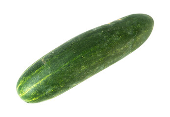cucumber isolated on white background