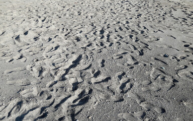Many footsteps on a sandy beach