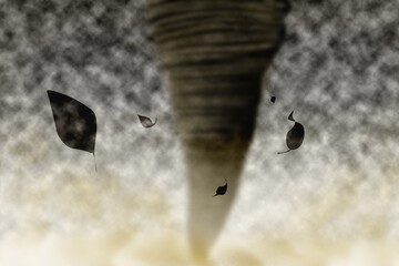 竜巻と舞う葉っぱのイメージ