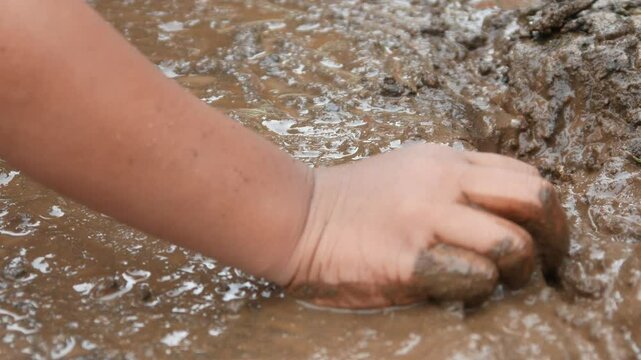 Mud covered hands of a child.  Children playing in mud