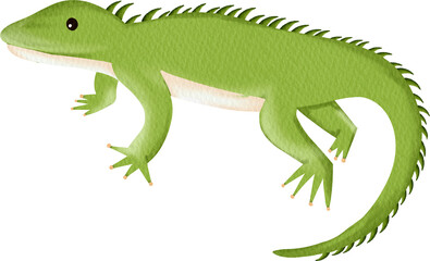 Obraz premium watercolor lizard