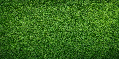 Obraz premium A vibrant, lush green grass field under bright sunlight, creating a serene outdoor atmosphere, ideal for recreational activities and nature photography