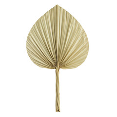 Handmade palm leaf fan on transparent background