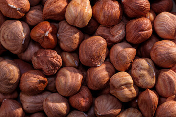 Close-up of whole hazelnuts in shell as a natural background