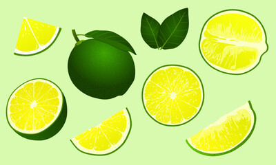 set of lime fruits