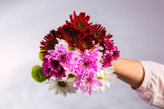 Vibrant bouquet held against a soft backdrop in studio