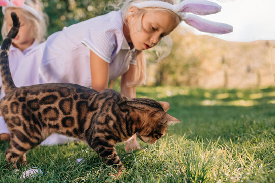 Child in Bunny Ears Plays with Bengal Cat on Sunny Garden in Easter