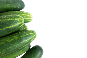 cucumber with space for text isolated on white background