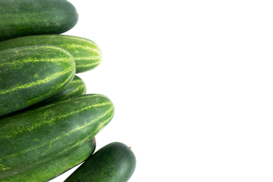cucumber with space for text isolated on white background