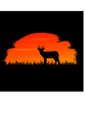 Animal Silhouette in sunset