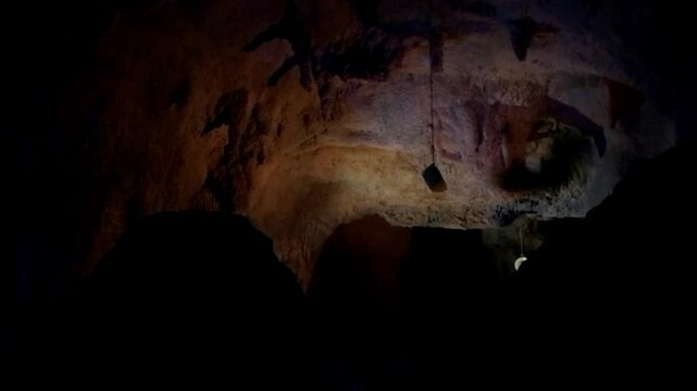 Cave with bats hanging from the ceiling. The bats are in various positions and sizes. The cave is dark and the bats are illuminated by a light source