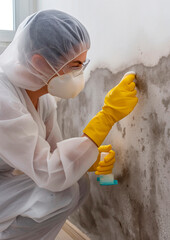 person removes mold from apartment wall