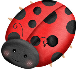 watercolor ladybug © Je