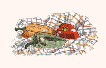 A hand-drawn sketch of a still life. Bell papers on a cloth