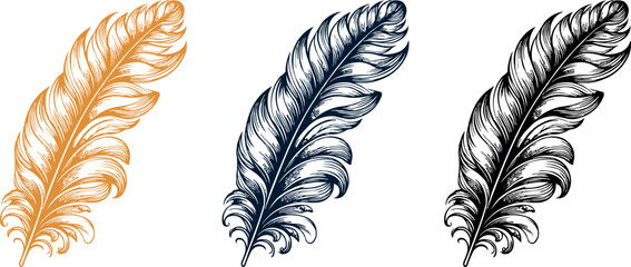 Vintage Ornate Feather Illustration, Elegant Quill Pen Drawing © Melange