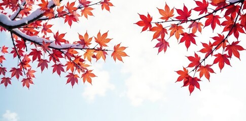 isolated maple tree branches on white background, winter trees, frozen landscape