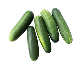 set of cucumbers isolated on white