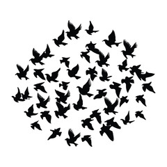 A flock of birds flying in a seamless vector silhouette, showcasing the dynamic motion of multiple birds soaring together in harmony across the sky. Simple, elegant design.
